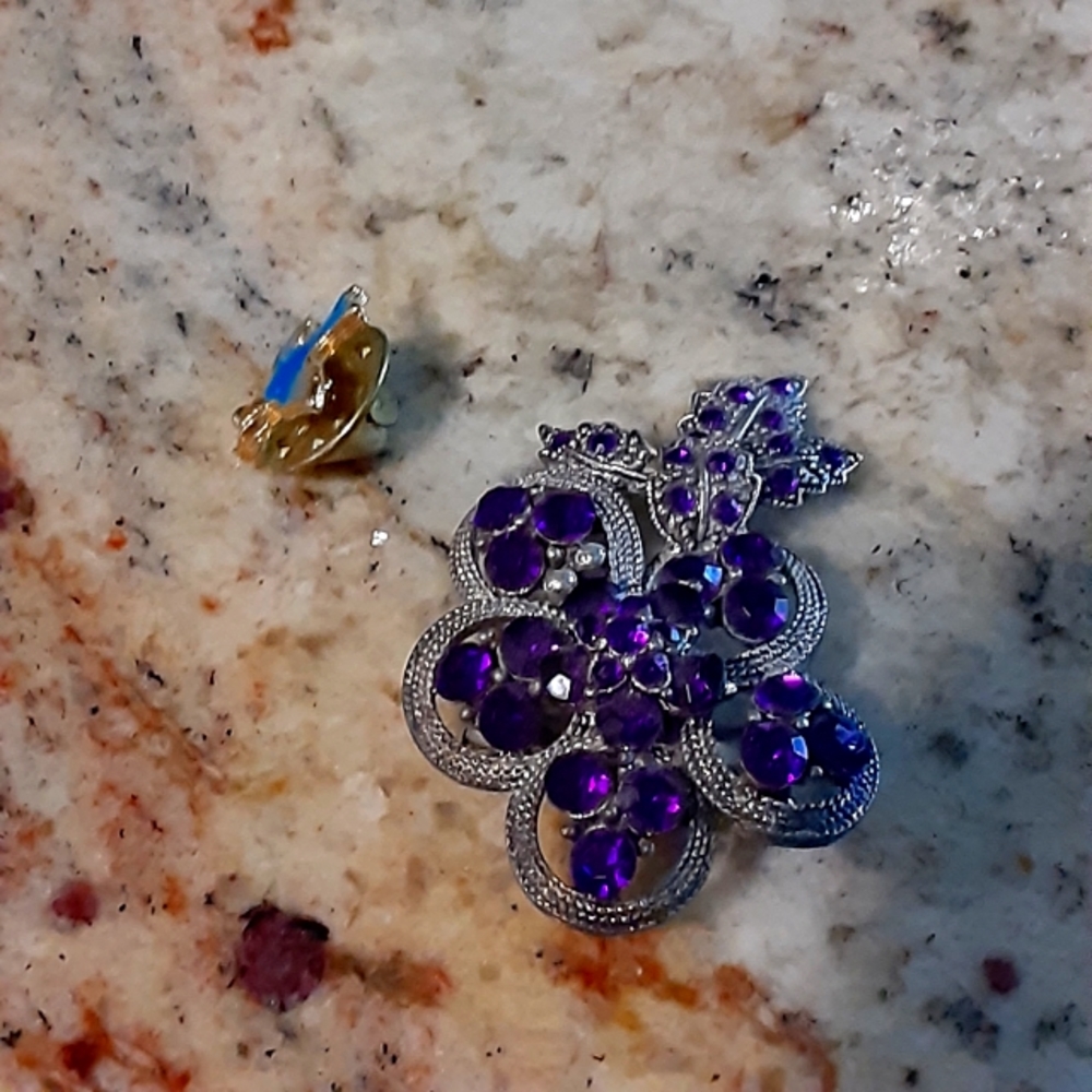 Broach and lapel pin.
